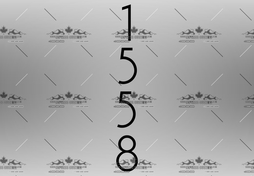 WJ225-HN-BC16-- 1558