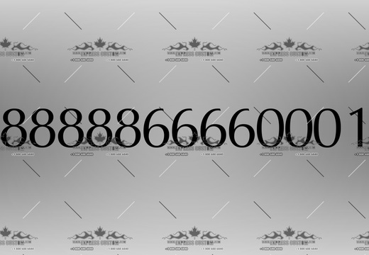 WJ233-HN-BC19-- 888888666600017
