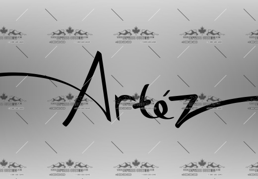 WJ125-BS-BC16-- ARTEZ PHOTO