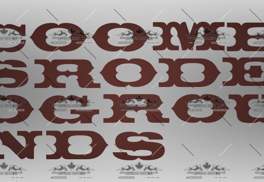 WJ134-BS-BCXX-- COOMBS RODEO GROUNDS