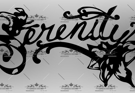 WJ298-WA-BC19-- Serenity