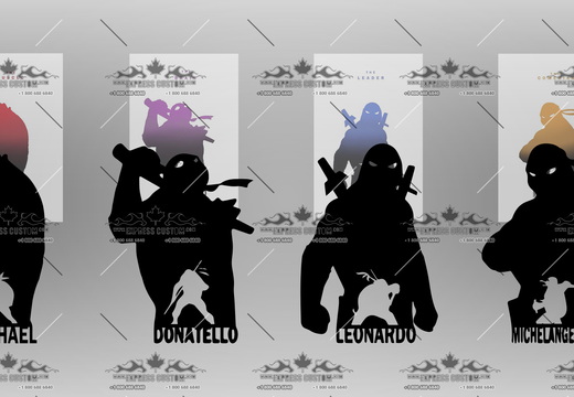 WJ300-WA-BC16-- TEENAGE MUTANT NINJA TURTLES