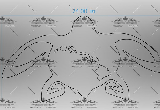 WJ301-WA-BC19-- Turtle