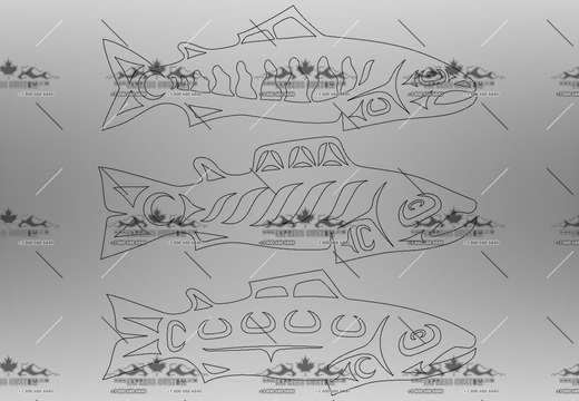 WJ355-MI-UN17-- NATIVE FISH