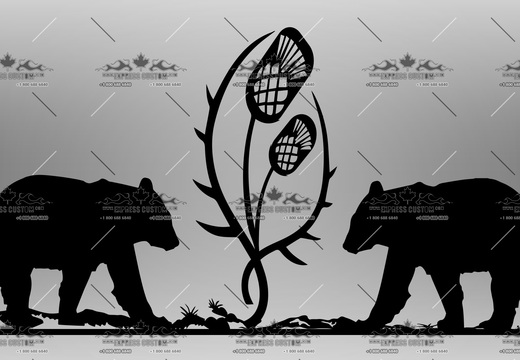 WJ370-MI-BC20-- TWO BEARS