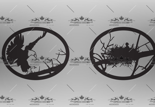 WJ315-GI-UN19-- EAGLE AND NEST