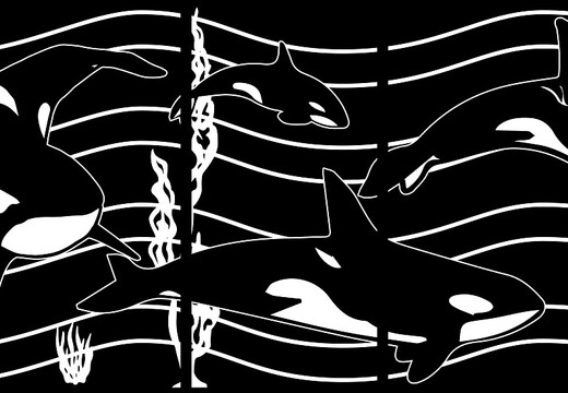 WJ405-GI-BC23-- 15 PIECE MEGA ORCA PROJECT