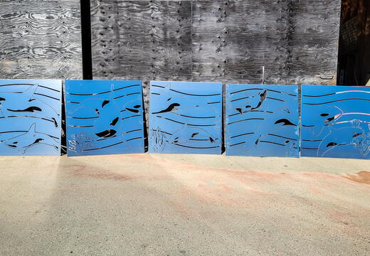 WJ417-PP-BC22-- ORCA PRIVACY PANELS X5